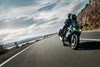 2022 NINJA 1000SX