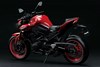 2022 Z900 50TH ANNIVERSARY
