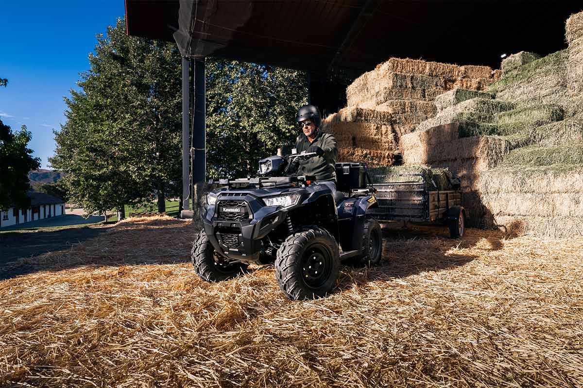2026 BRUTE FORCE 450 (EPS)