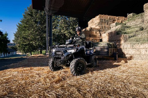 2026 BRUTE FORCE 450 (EPS)