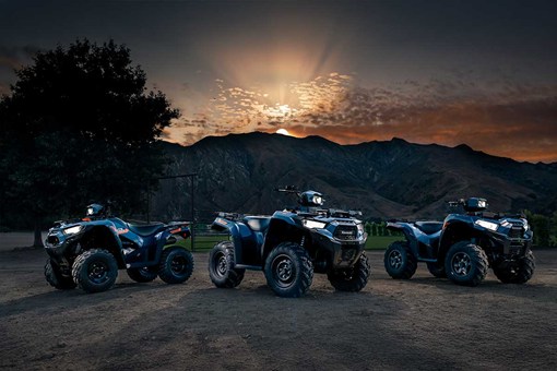 2026 BRUTE FORCE 450 (EPS)