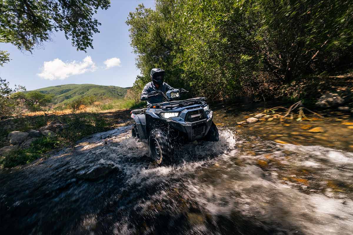 2026 BRUTE FORCE 450 (EPS)