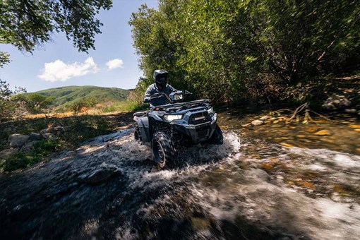 2026 BRUTE FORCE 450 (EPS)