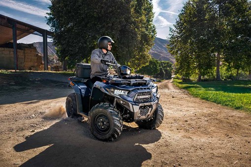 2026 BRUTE FORCE 450 (EPS)