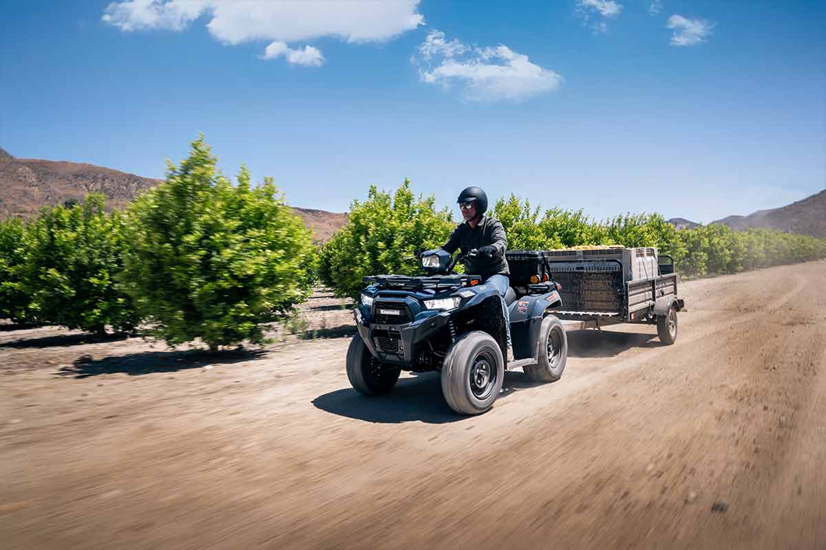 2026 BRUTE FORCE 450 (EPS)