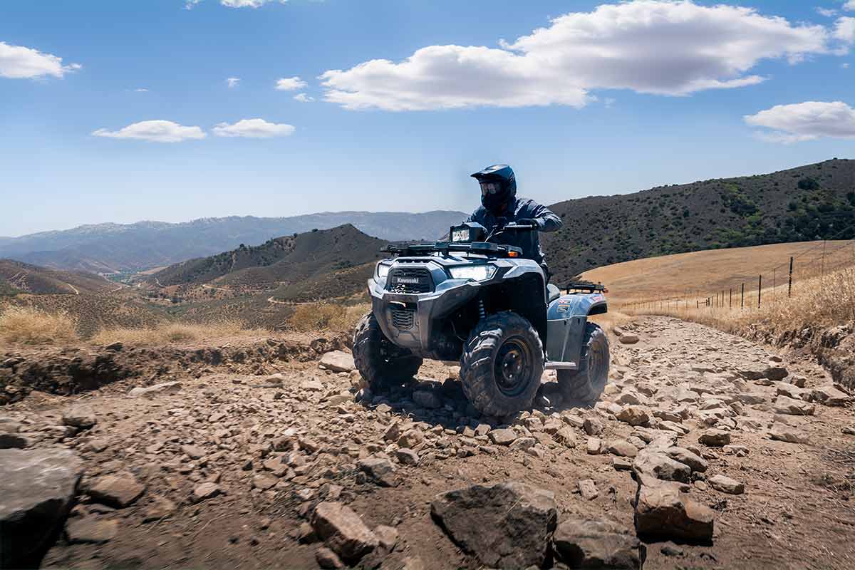 2026 BRUTE FORCE 450 (EPS)