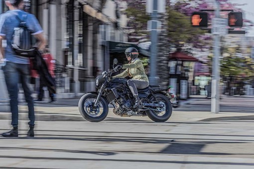 2024 ELIMINATOR 500 SE