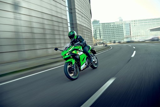 2025 NINJA 500 SE