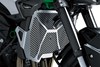 2025 Z900 