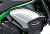 2025 Z900 