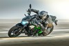 2025 Z900 