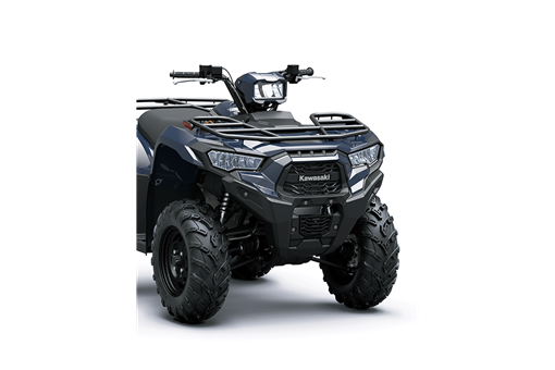 2025 BRUTE FORCE 450