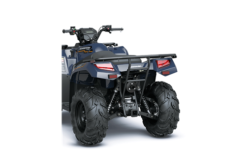 2025 BRUTE FORCE 450 